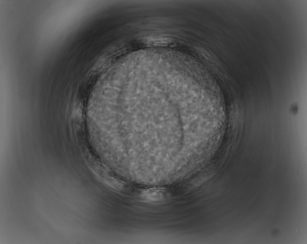 X0000116580761200912312014