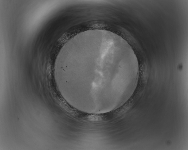 X0000116580762200912312014