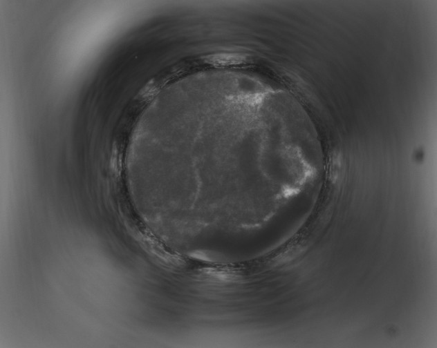 X0000116580763200912312014