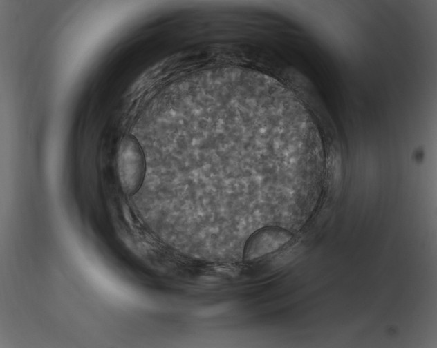 X0000116580765200912312014