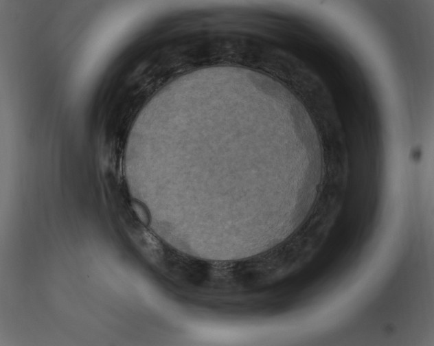 X0000116580766200912312014