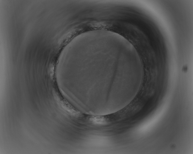 X0000116580767200912312014