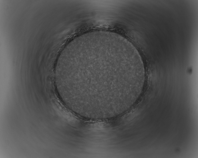 X0000116580769200912312014