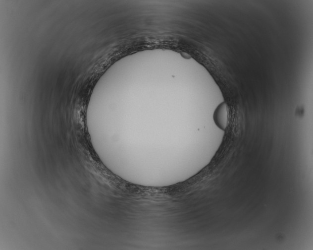 X0000116580770200912312014