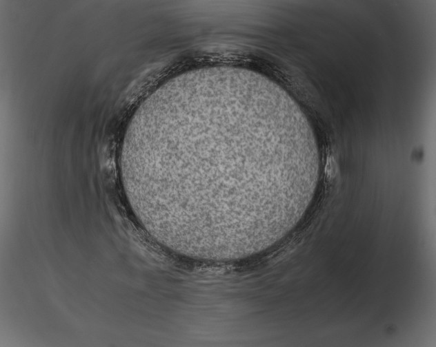 X0000116580771200912312014