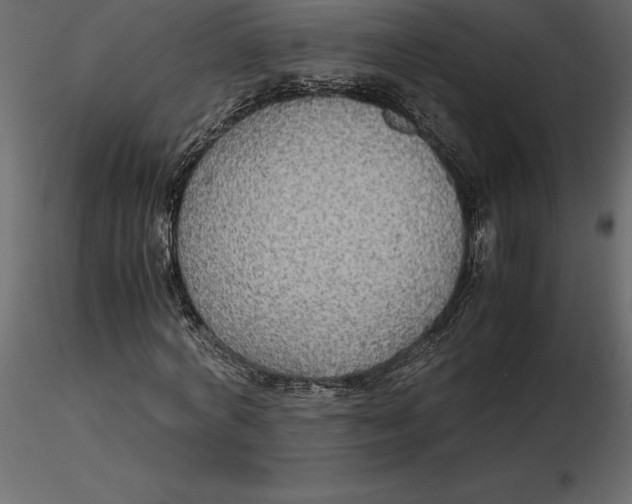 X0000116580772200912312014