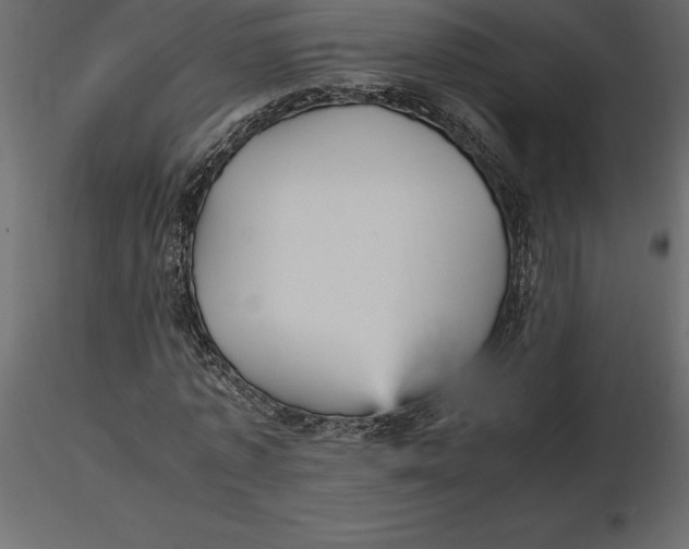 X0000116580773200912312014