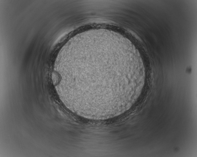 X0000116580775200912312014