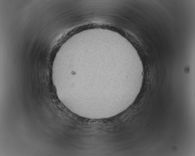 X0000116580776200912312014