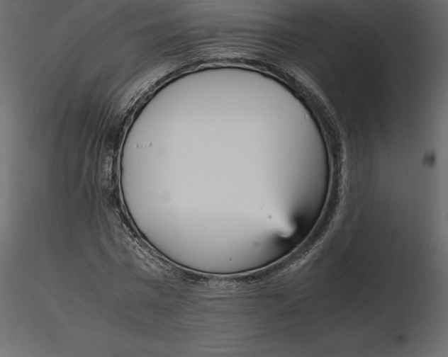 X0000116580777200912312014