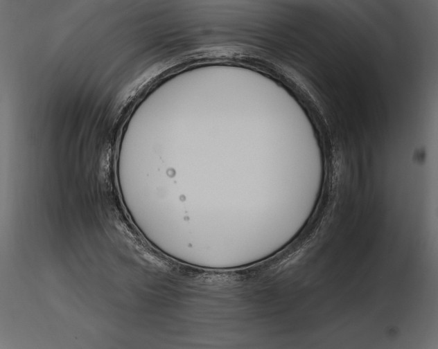 X0000116580778200912312014