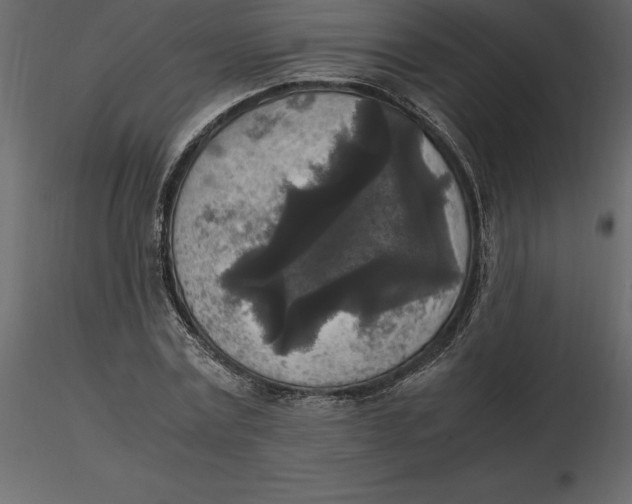 X0000116580779200912312014