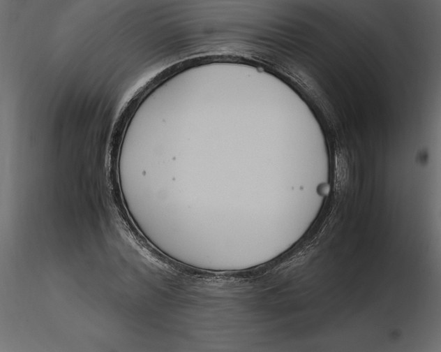 X0000116580780200912312014