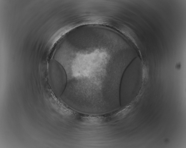 X0000116580781200912312014