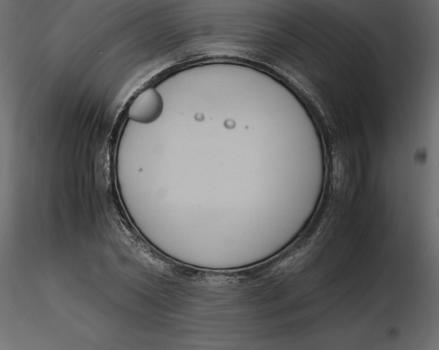 X0000116580782200912312014