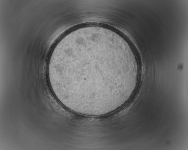 X0000116580783200912312014