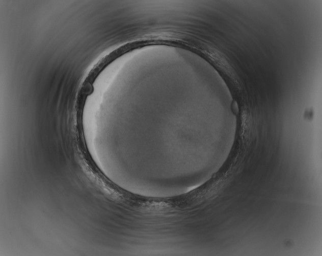 X0000116580784200912312014