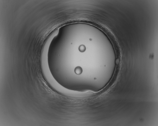 X0000116580785200912312014