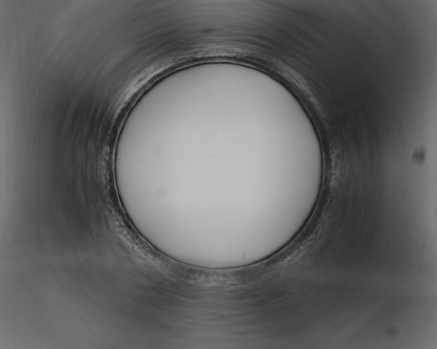 X0000116580786200912312014