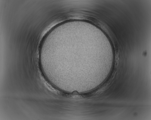 X0000116580787200912312014