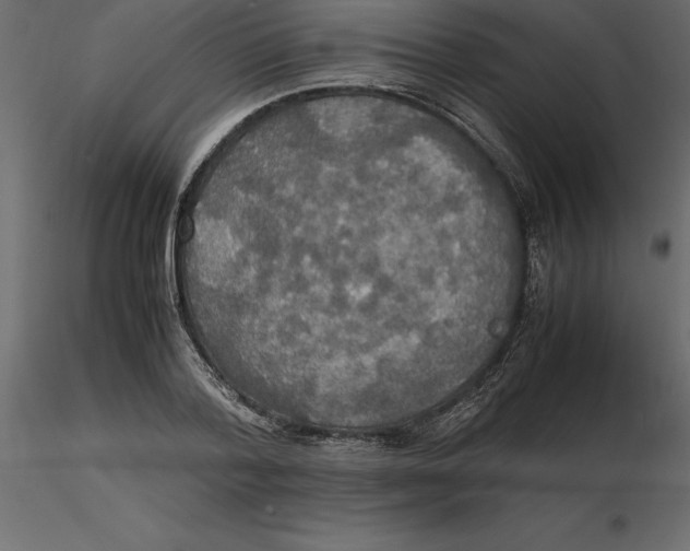 X0000116580788200912312013