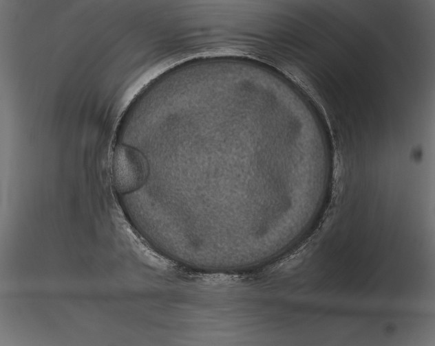 X0000116580789200912312013