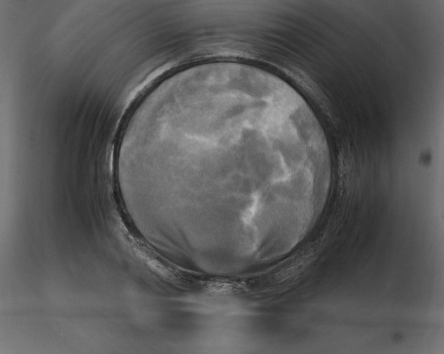 X0000116580790200912312013