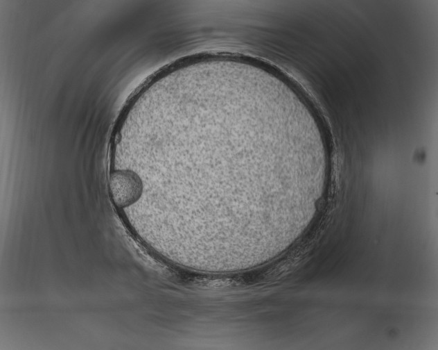 X0000116580791200912312013