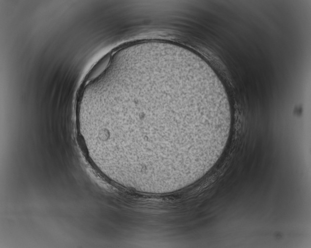 X0000116580792200912312013