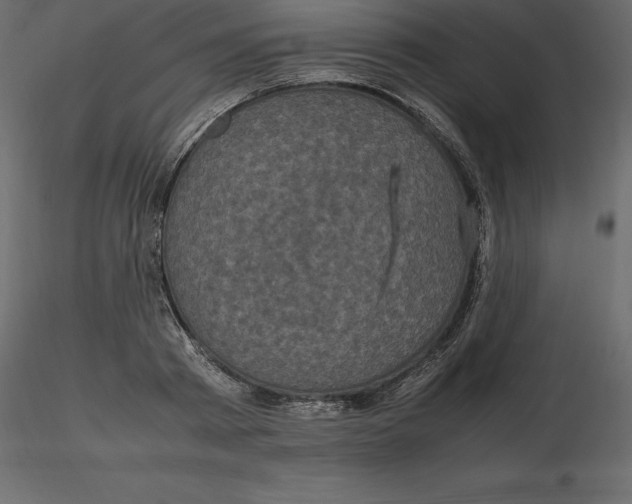 X0000116580793200912312013