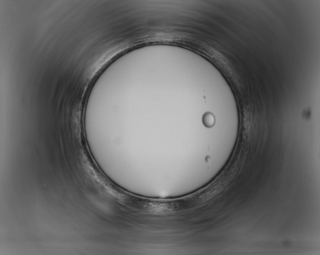 X0000116580794200912312013