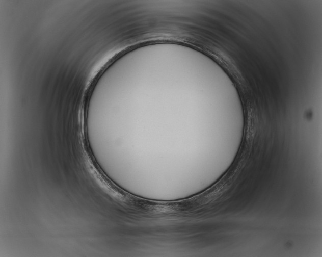 X0000116580796200912312013