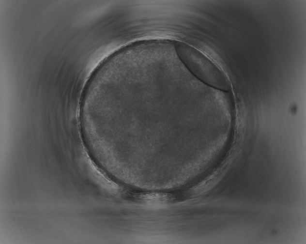 X0000116580797200912312013