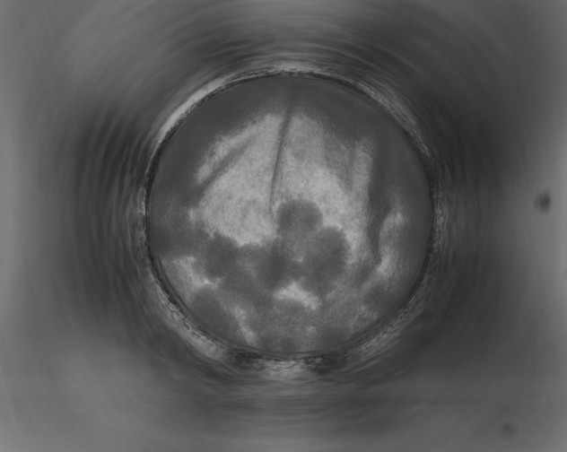 X0000116580798200912312013