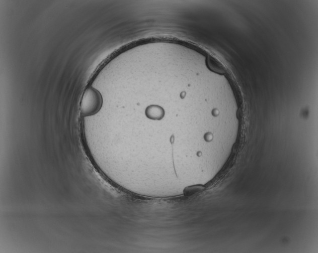 X0000116580799200912312013