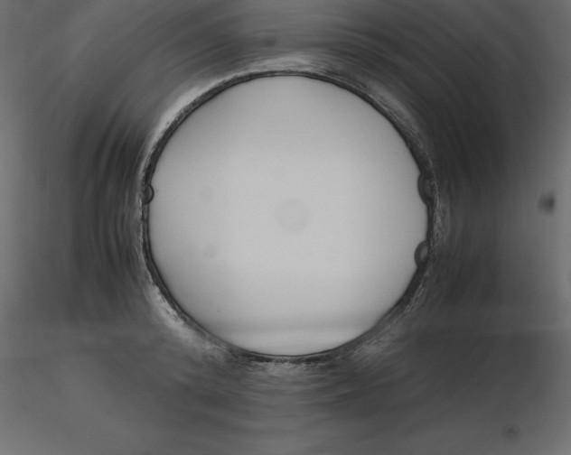 X0000116580800200912312013