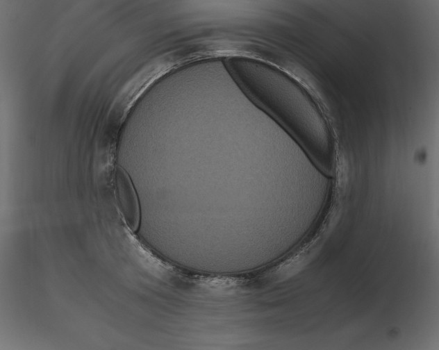 X0000116580801200912312013