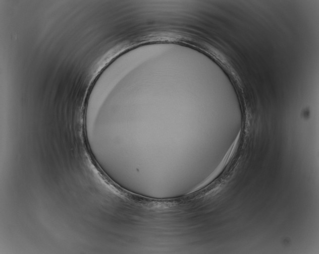 X0000116580802200912312013