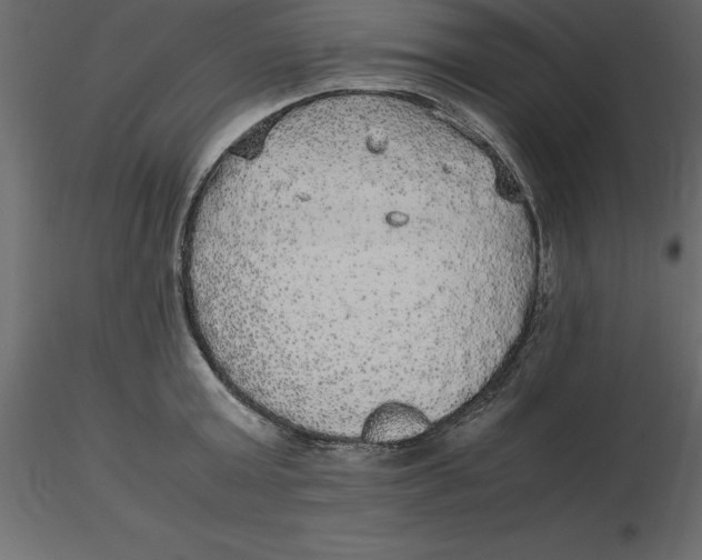 X0000116580803200912312013