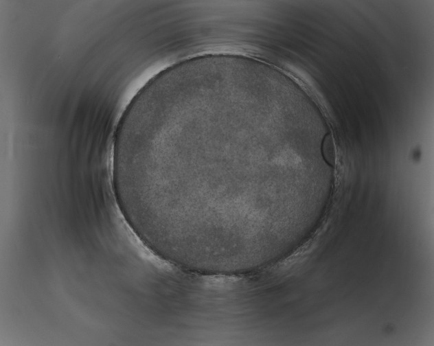 X0000116580804200912312013