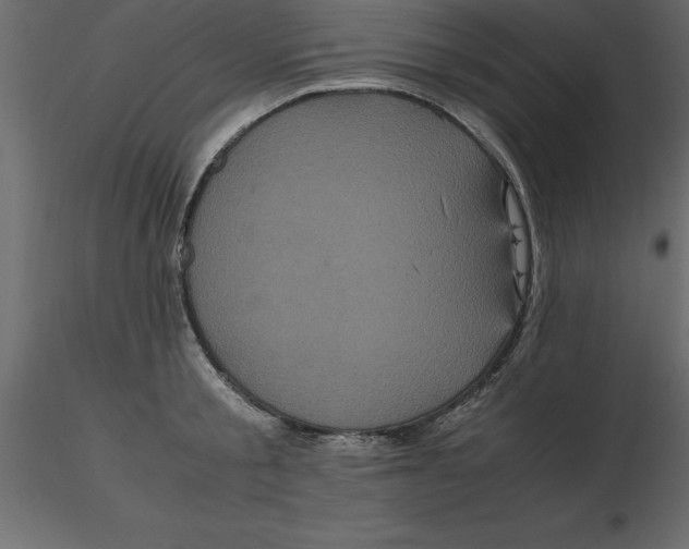 X0000116580805200912312013