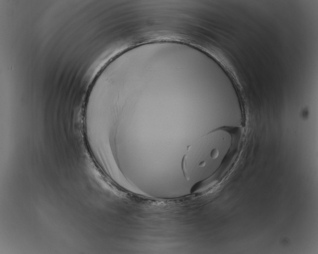 X0000116580806200912312013