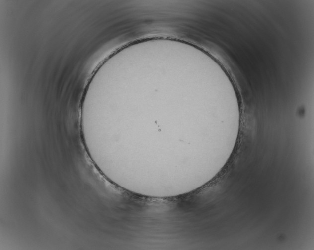 X0000116580807200912312013