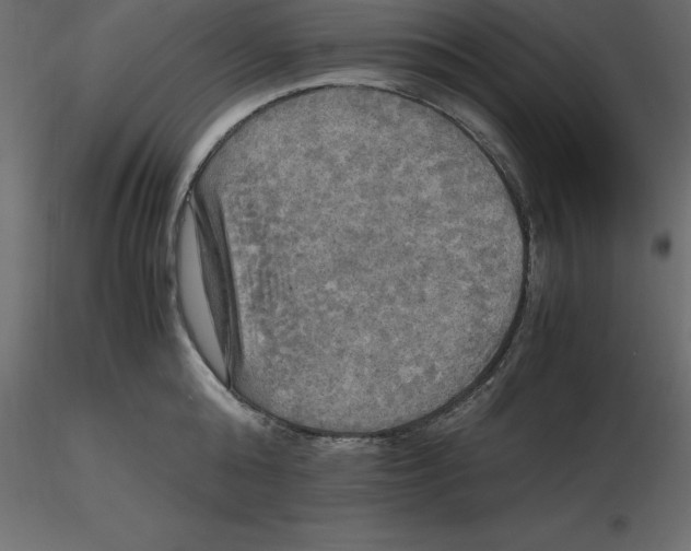 X0000116580808200912312013