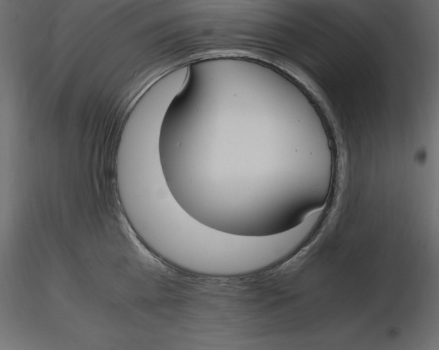 X0000116580809200912312013