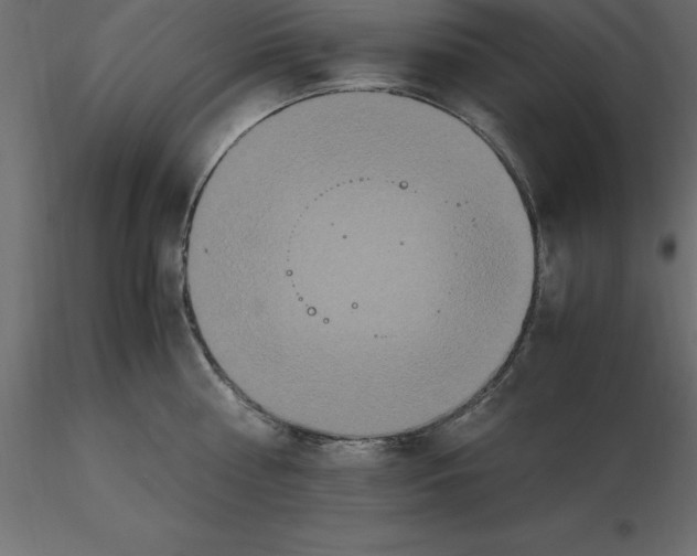 X0000116580810200912312013