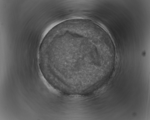 X0000116580811200912312013