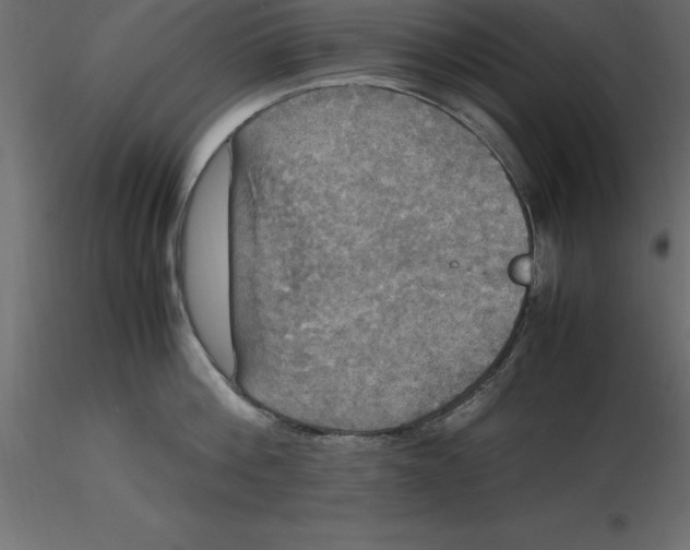 X0000116580812200912312013