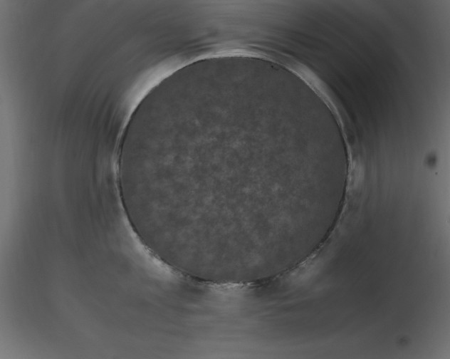 X0000116580813200912312013