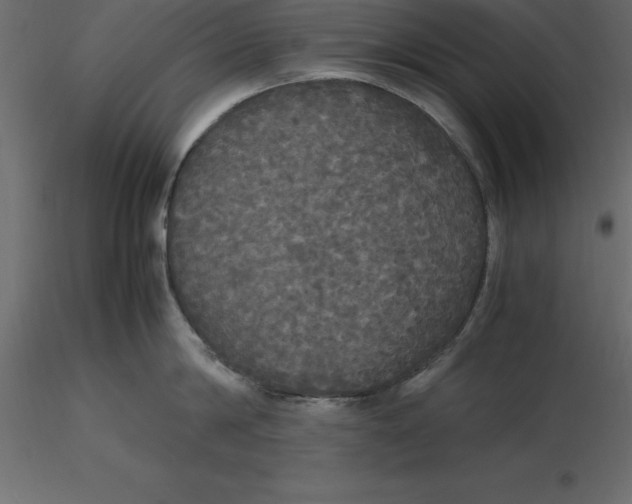 X0000116580814200912312013